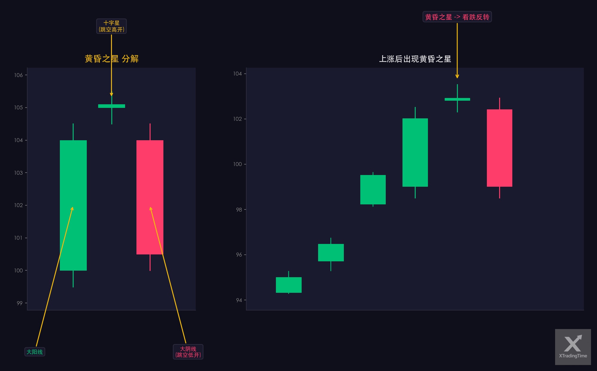 图7：黄昏之星——形态图解