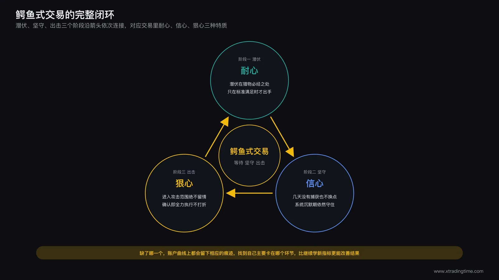 总结示意:耐心、信心、狠心三种特质沿箭头依次连接,构成鳄鱼式交易完整的捕猎与交易行为闭环