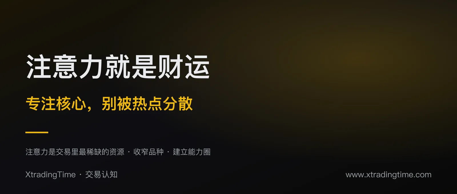 注意力就是财运：专注核心品种，别被各种热点分散