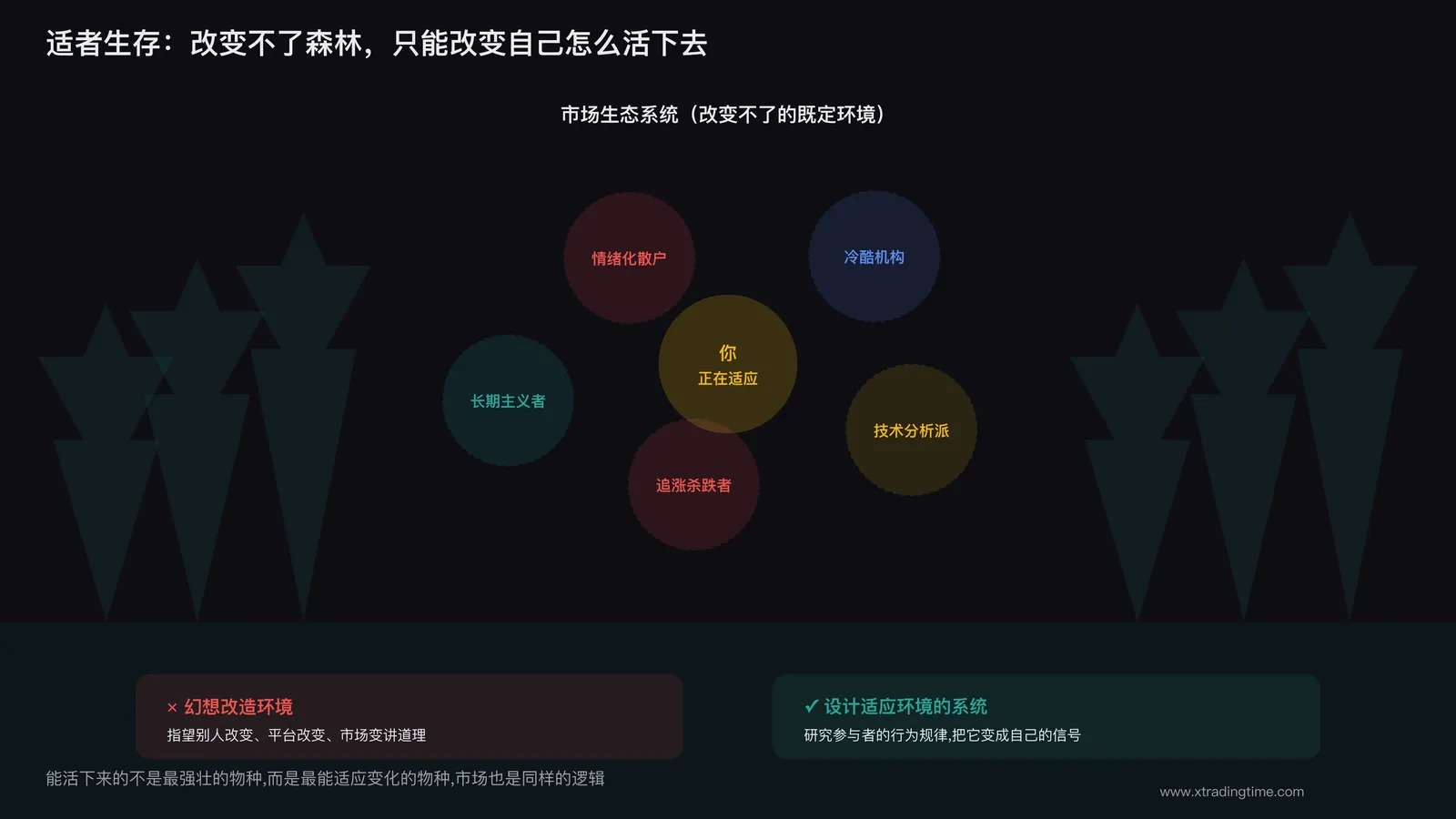 森林里的生态系统,一只动物在适应环境而不是改造环境
