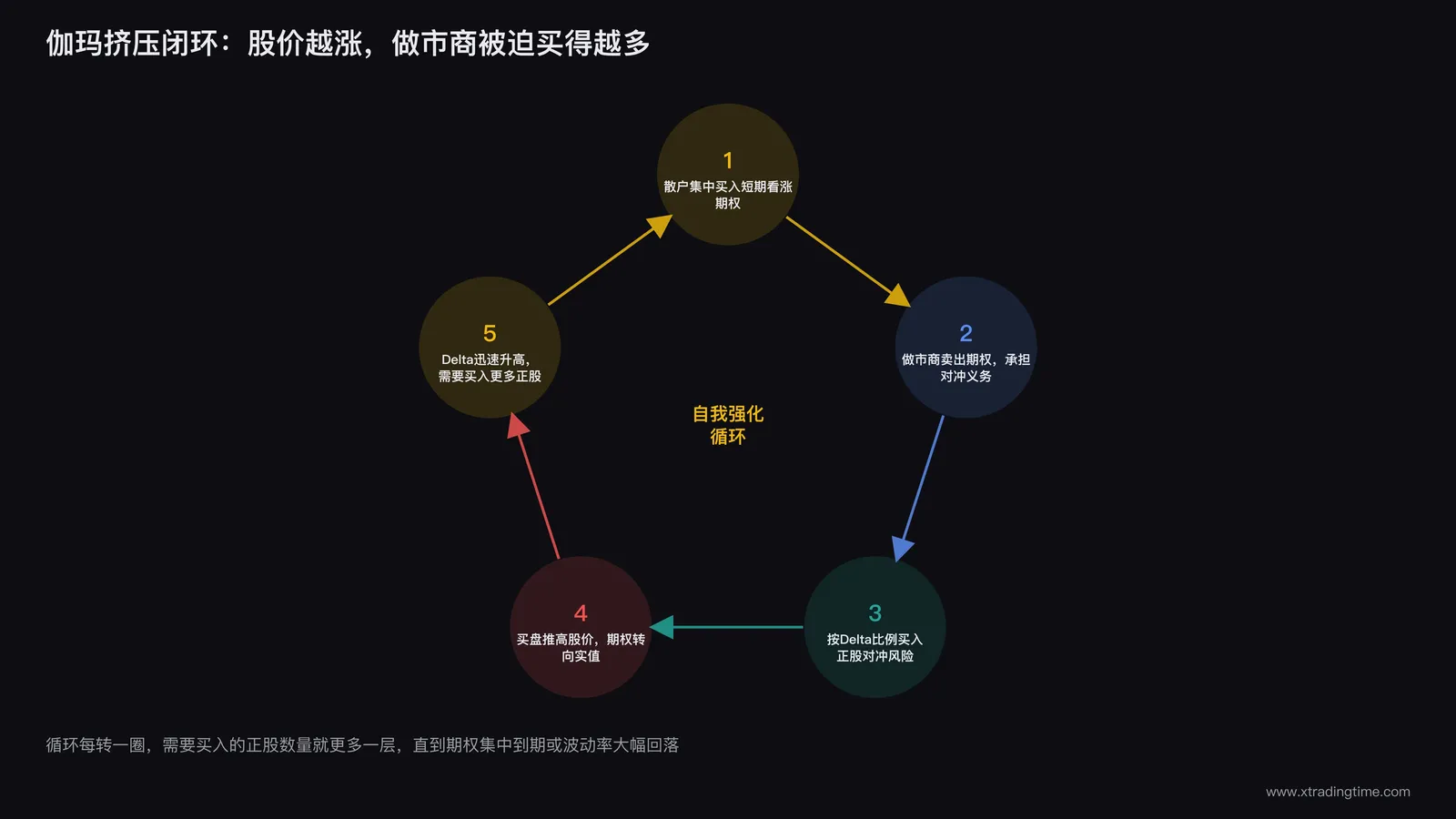 伽玛挤压完整机制流程图,展示散户买期权到做市商买正股再到股价上涨的闭环