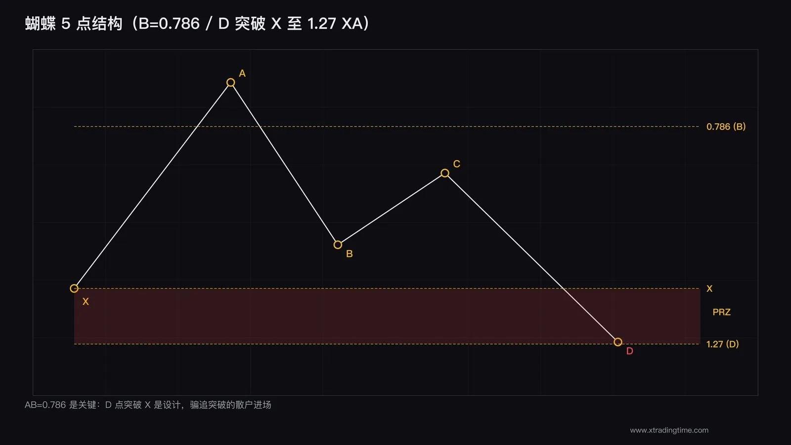 蝴蝶形态结构图