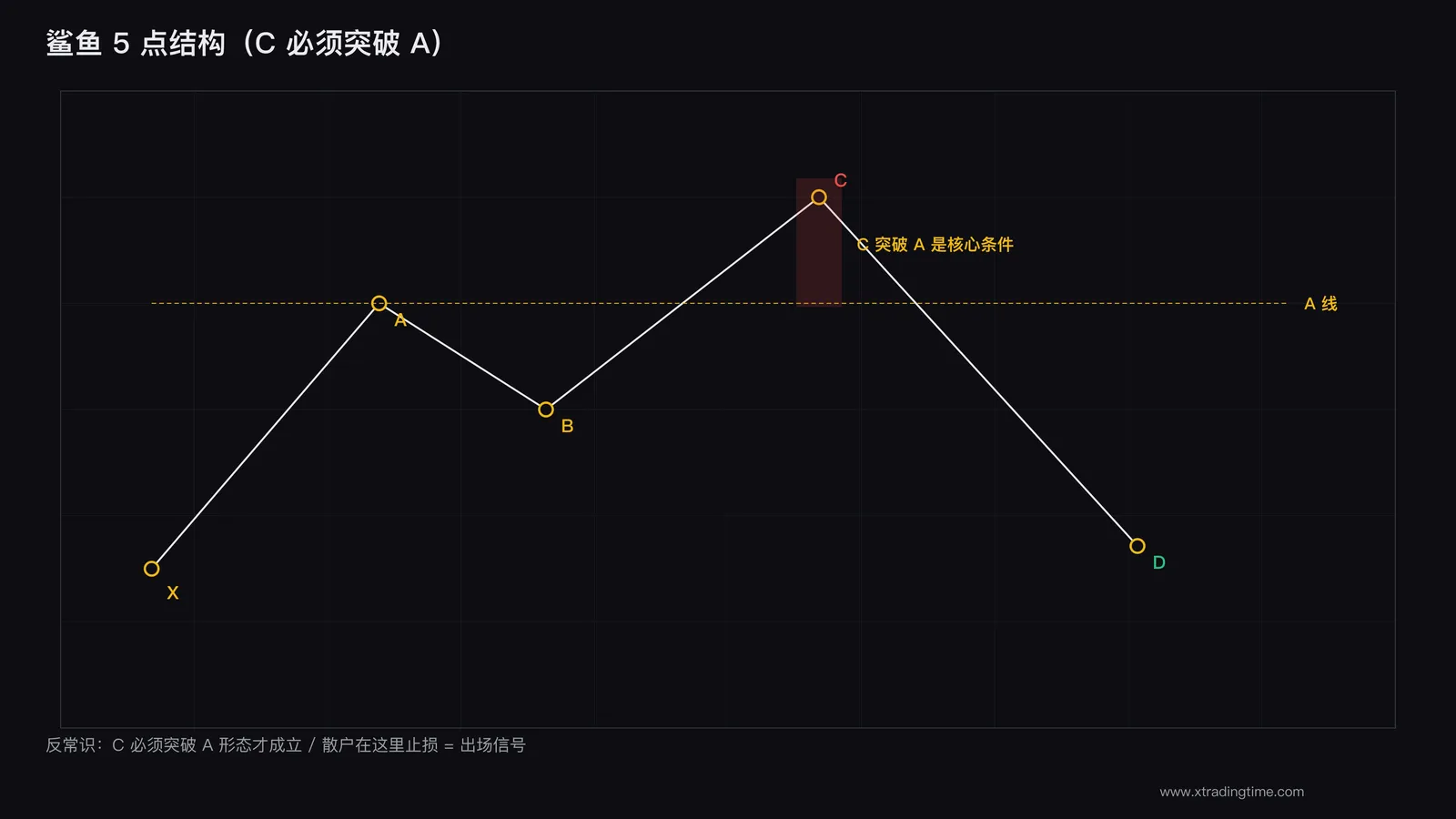 鲨鱼形态结构图