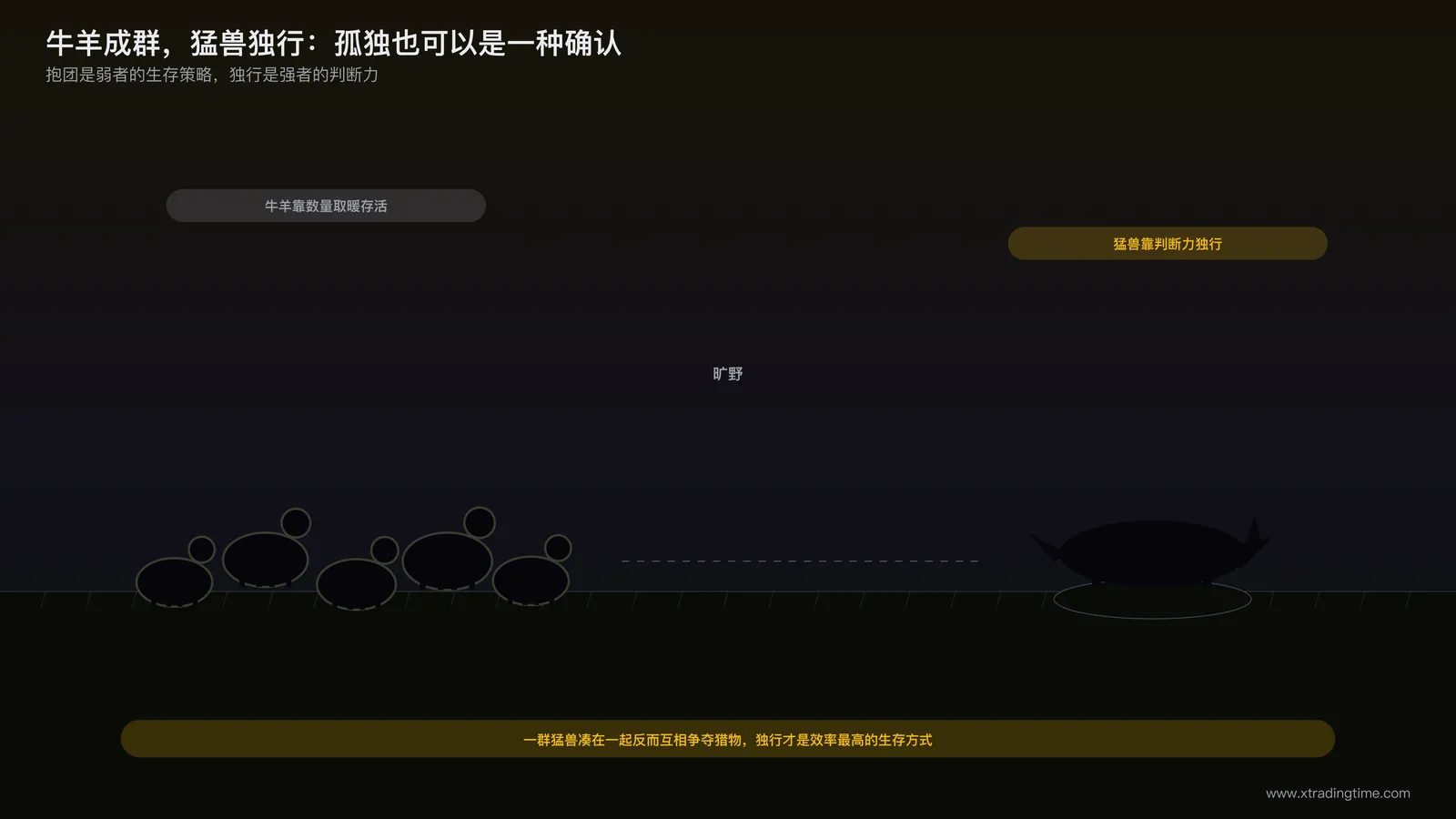 草原上一群羊和一只独行的狼