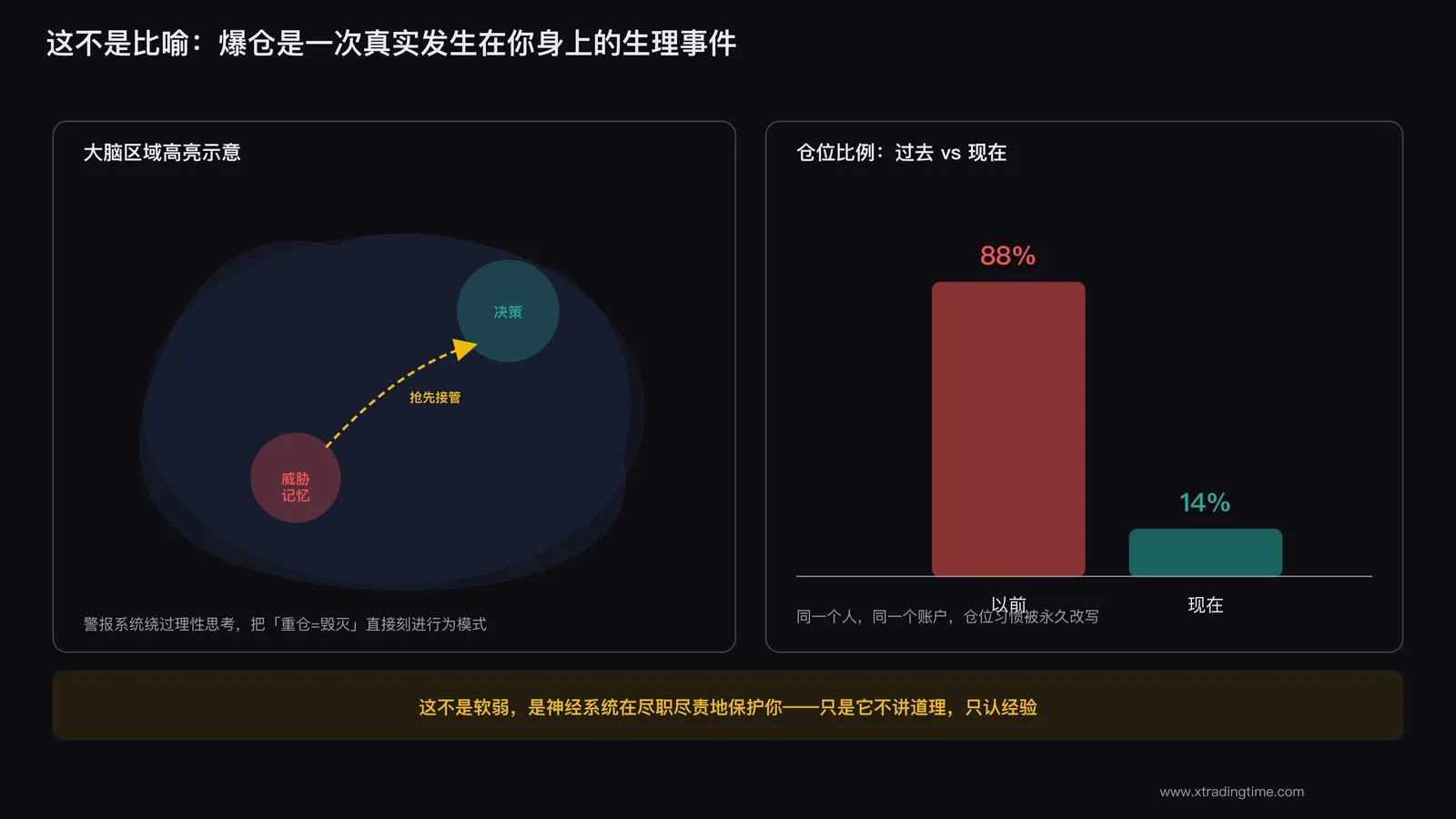大脑杏仁核区域高亮示意图,标注"威胁记忆"和"决策皮层"两个区域的连接线,旁边配一张过去与现在的仓位对比柱状图