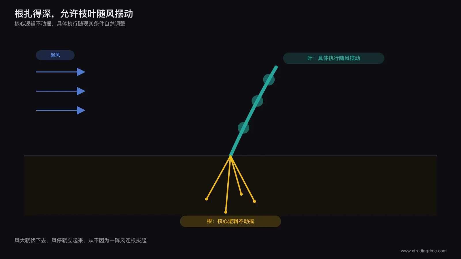 风中随势弯曲又能挺立的植物比喻交易心态