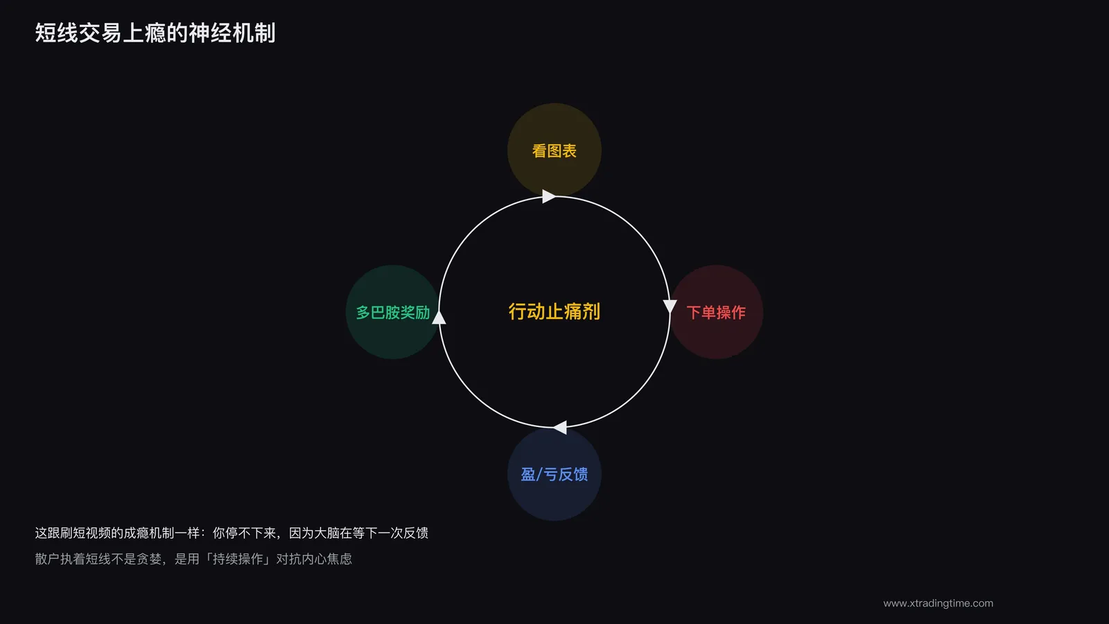 短线成瘾的神经回路