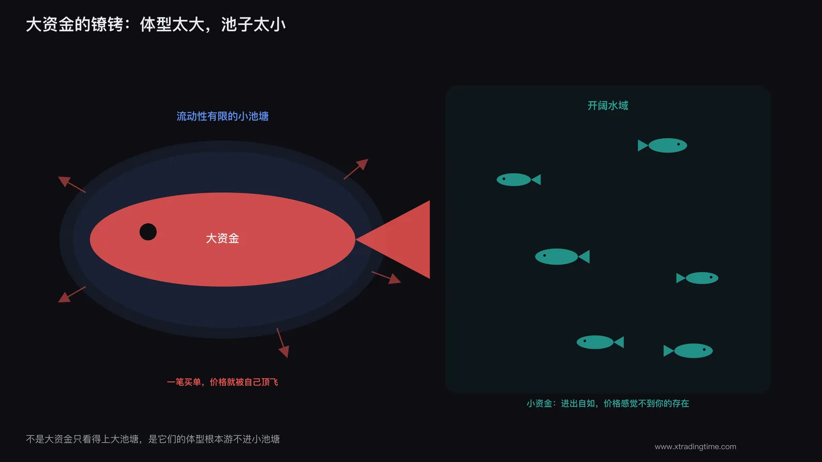 大鱼被困在小池子里游不开身的示意图
