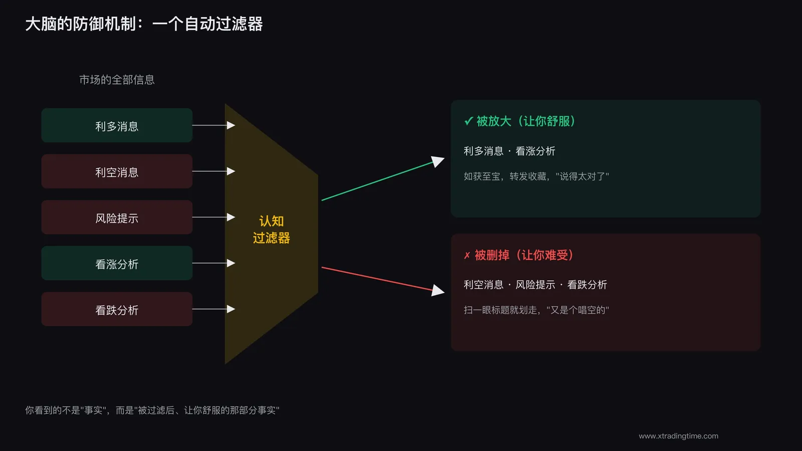 大脑的防御机制